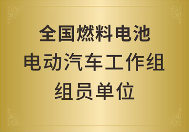 全国燃料电池电动汽车工作组组员单位